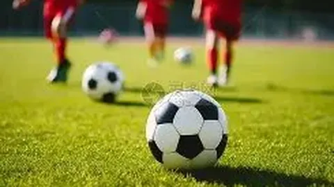 金贝娱乐 产品 104446 55b