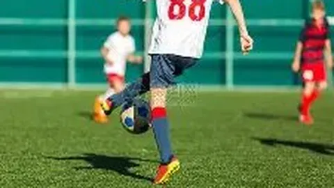 金贝娱乐 产品 104452 zvp