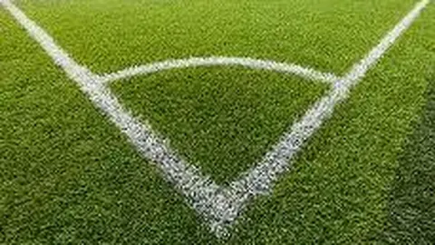 许昕亚锦赛单项抽签遇强敌，张本智和丁宁挑战平野美宇